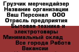 Грузчик-мерчендайзер › Название организации ­ Ваш Персонал, ООО › Отрасль предприятия ­ Бытовая техника и электротовары › Минимальный оклад ­ 18 000 - Все города Работа » Вакансии   . Ивановская обл.